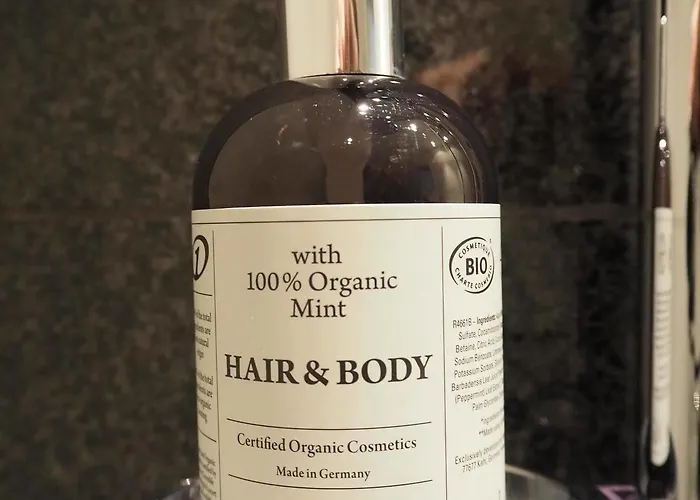 酒店 柏林波茨坦广场一号汽车旅馆酒店 柏林